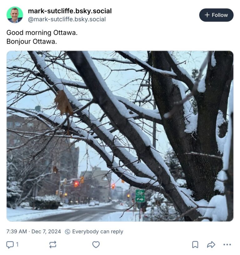 Live. Laugh. Mayor for December 7, 2024