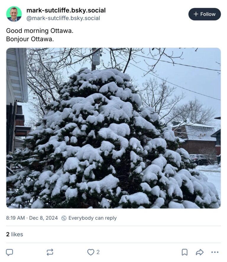 Live. Laugh. Mayor for December 8, 2024