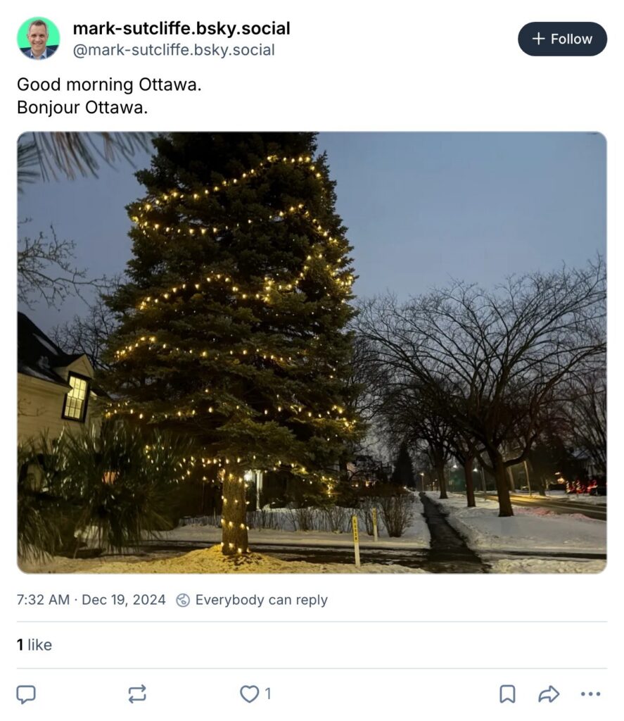 Live. Laugh. Mayor for December 19, 2024