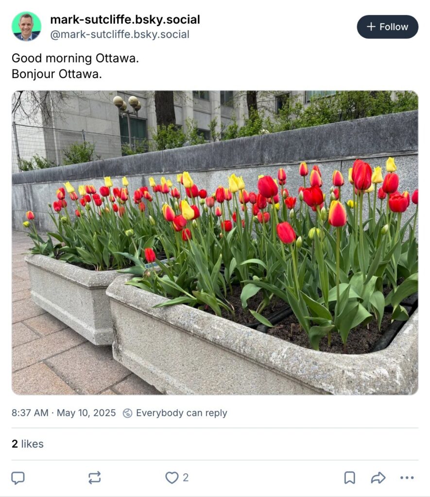 Live. Laugh. Mayor for May 10, 2025