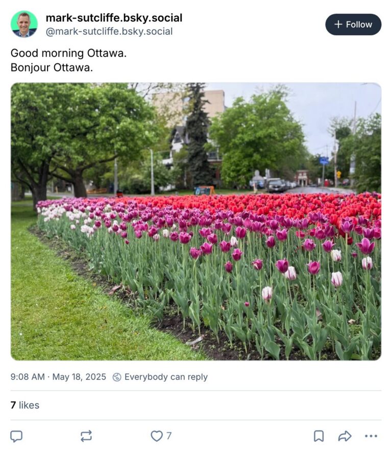 Live. Laugh. Mayor for May 18, 2025