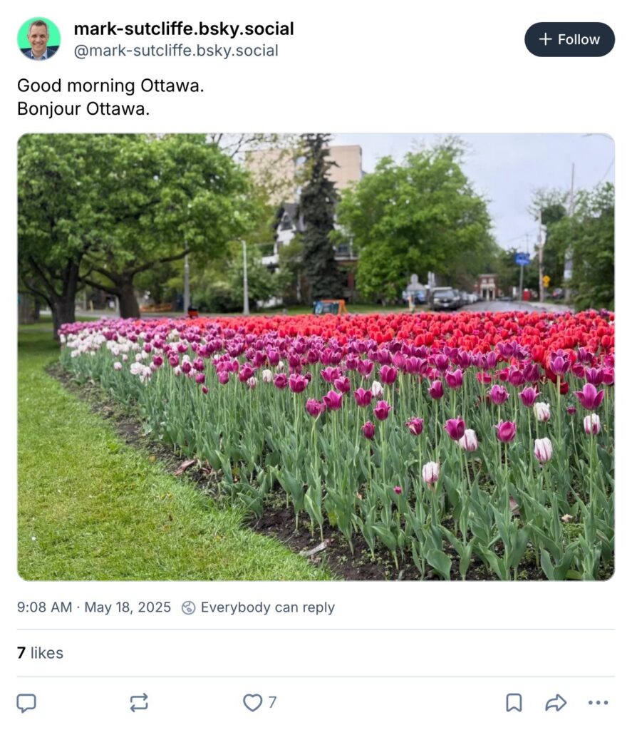 Live. Laugh. Mayor for May 18, 2025