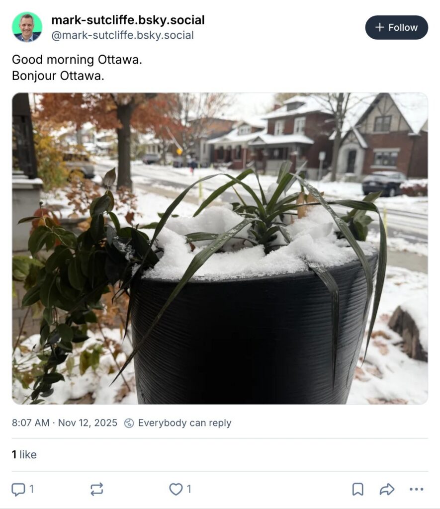 Live. Laugh. Mayor for November 12, 2025