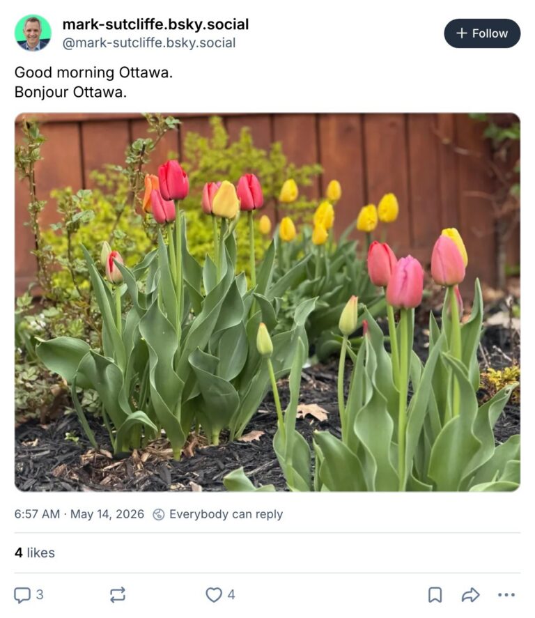 Live. Laugh. Mayor for May 14, 2026