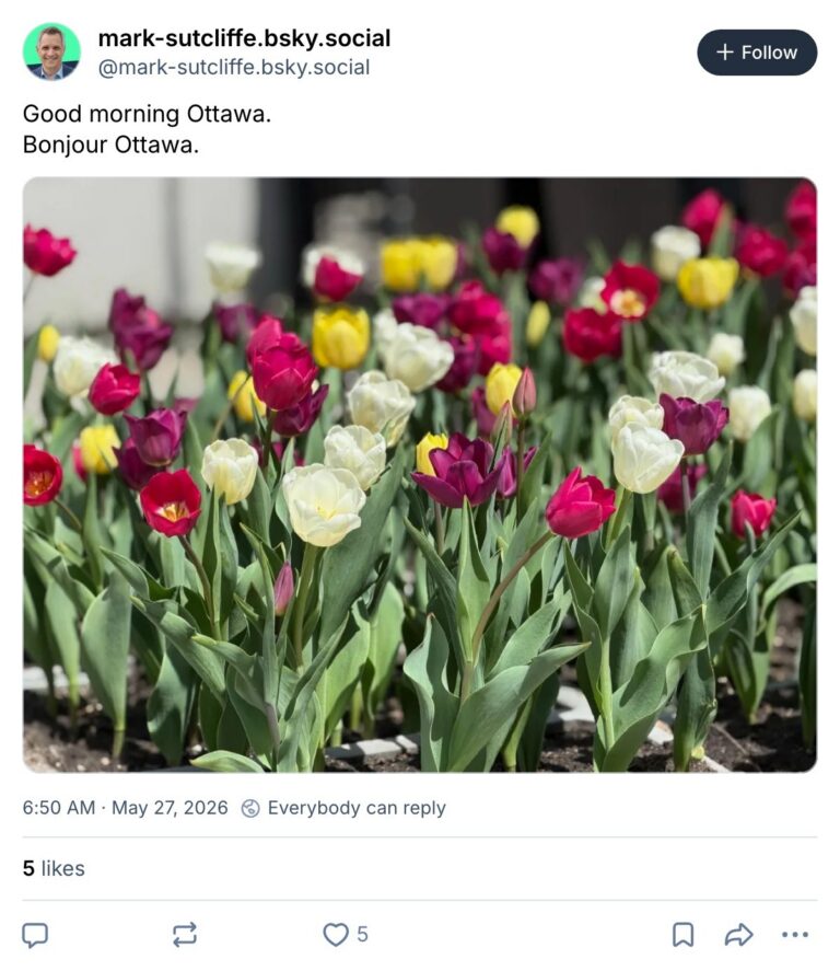Live. Laugh. Mayor for May 27, 2026