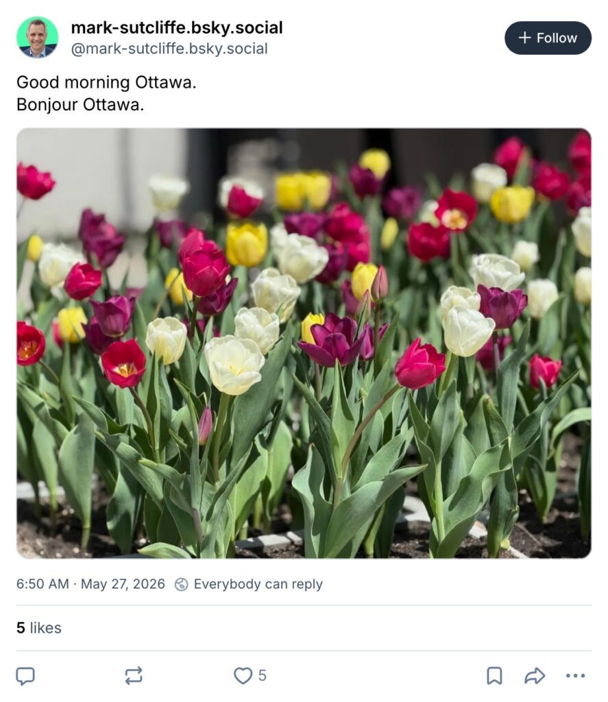Live. Laugh. Mayor for May 27, 2026