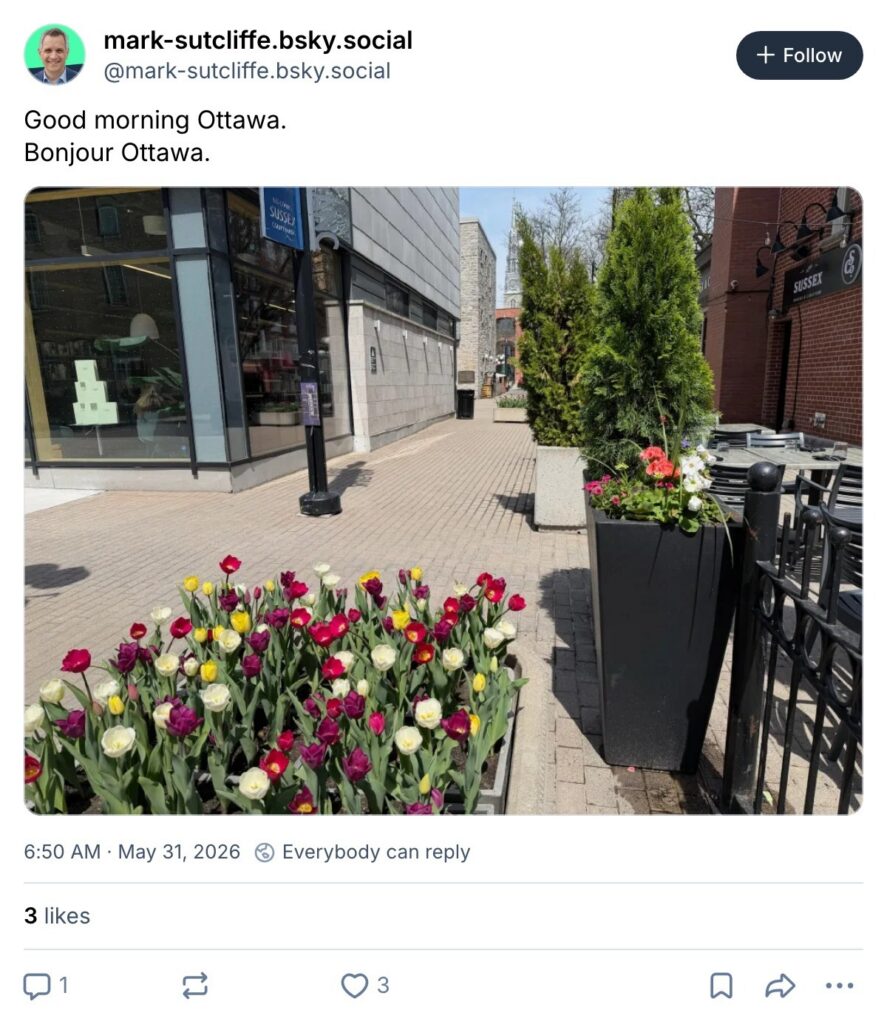 Live. Laugh. Mayor for May 31, 2026