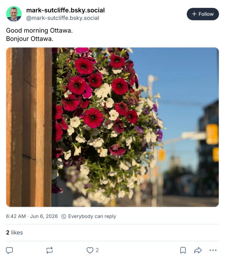 Live. Laugh. Mayor for June 6, 2026
