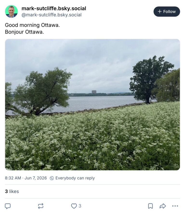 Live. Laugh. Mayor for June 7, 2026