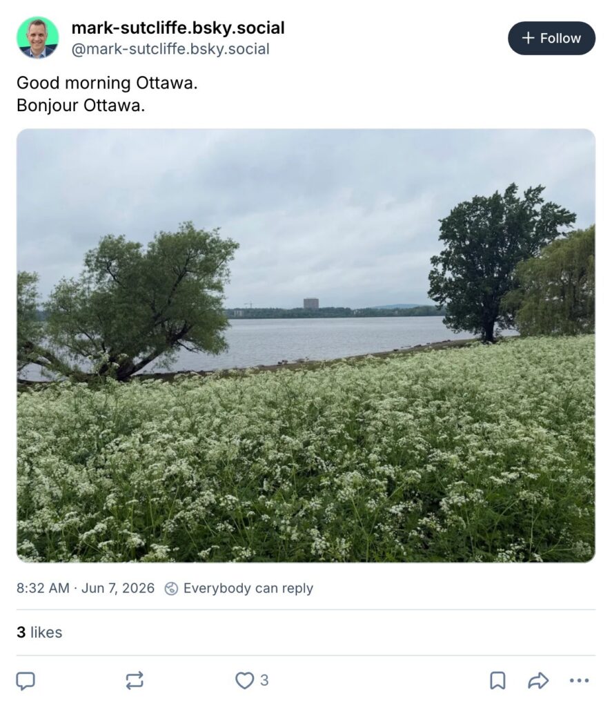 Live. Laugh. Mayor for June 7, 2026