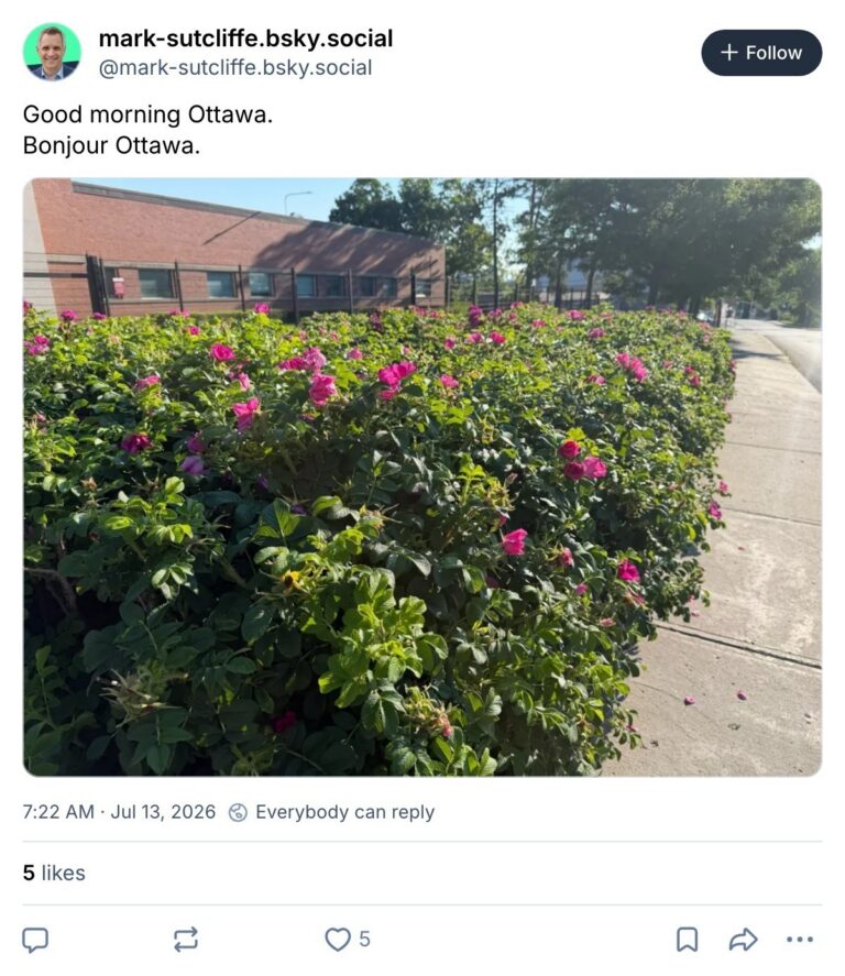 Live. Laugh. Mayor for July 13, 2026