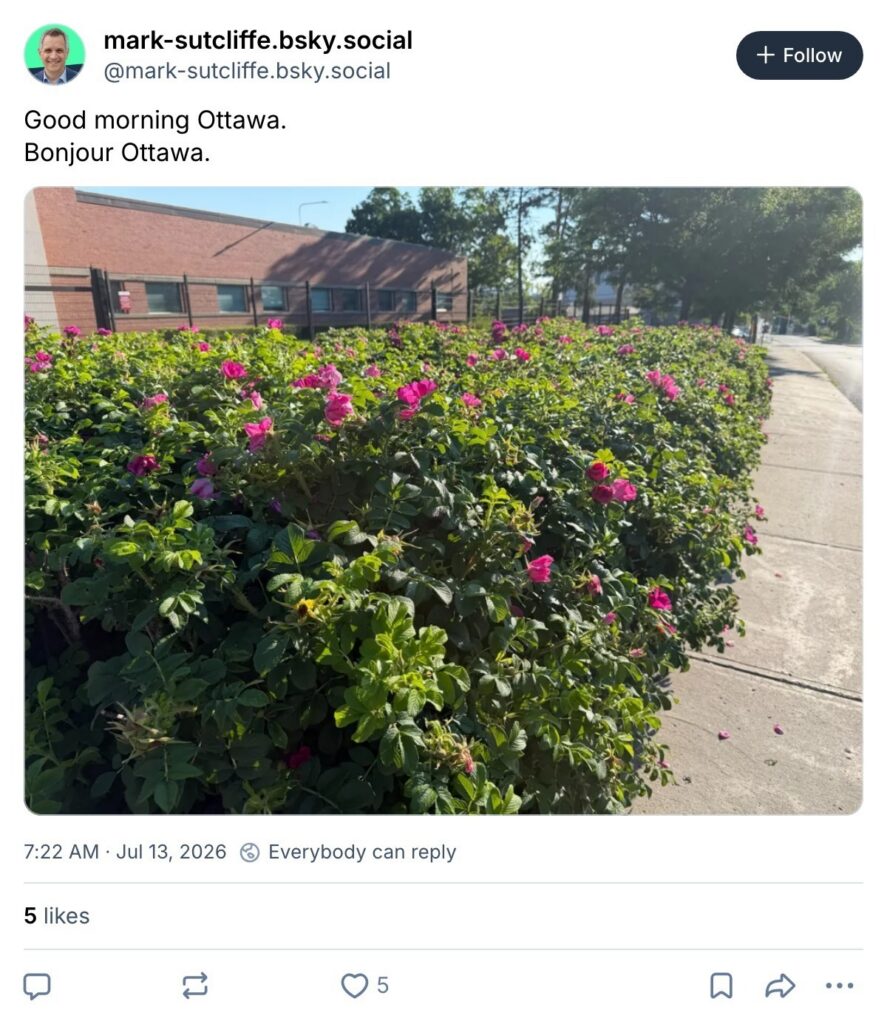 Live. Laugh. Mayor for July 13, 2026