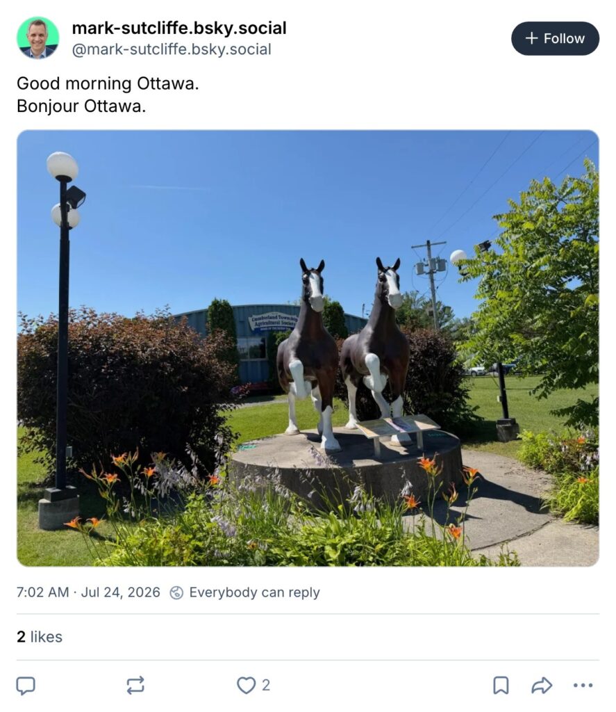Live. Laugh. Mayor for July 24, 2026