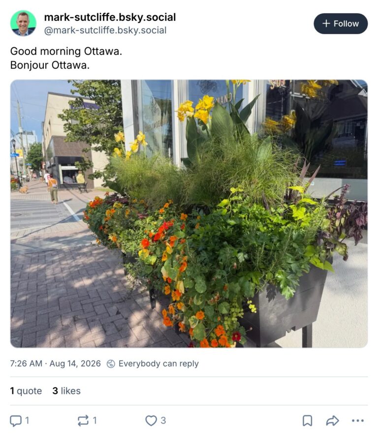 Live. Laugh. Mayor for August 14, 2026