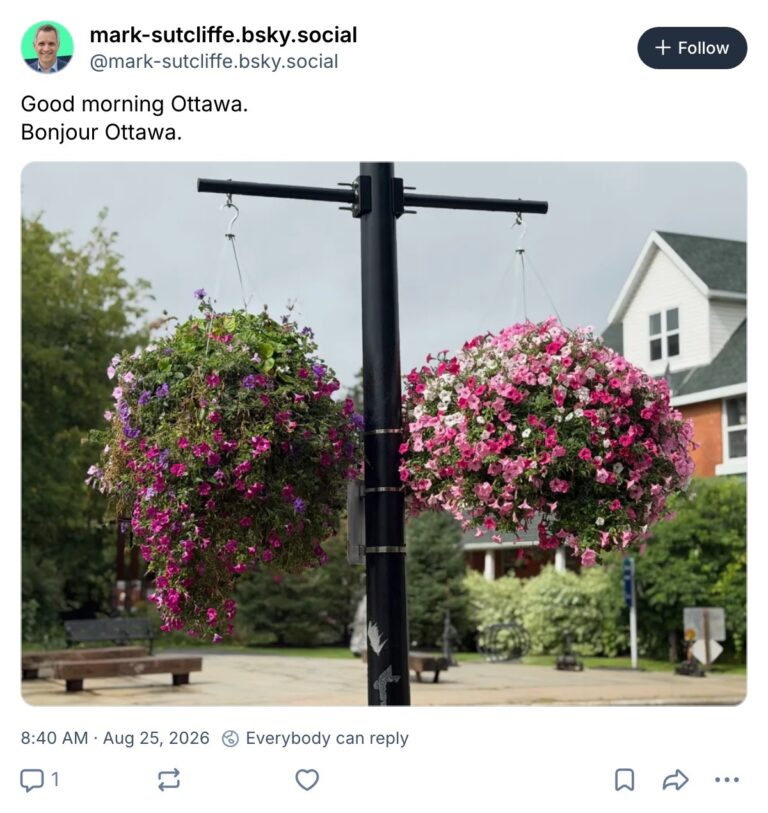 Live. Laugh. Mayor for August 25, 2026