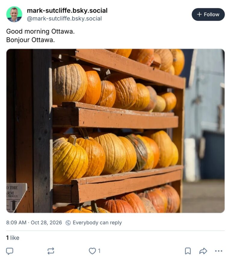 Live. Laugh. Mayor for October 28, 2026